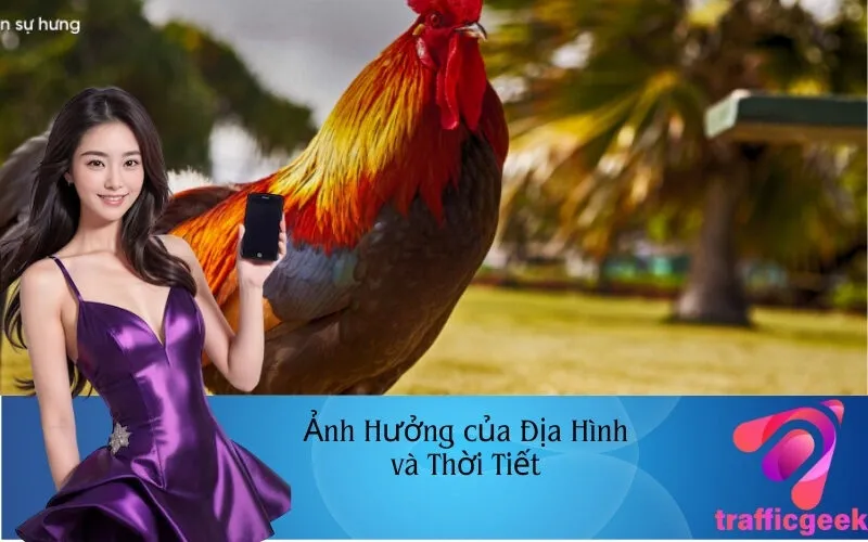 Ảnh Hưởng của Địa Hình và Thời Tiết