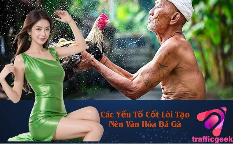 Các Yếu Tố Cốt Lõi Tạo Nên Văn Hóa Đá Gà
