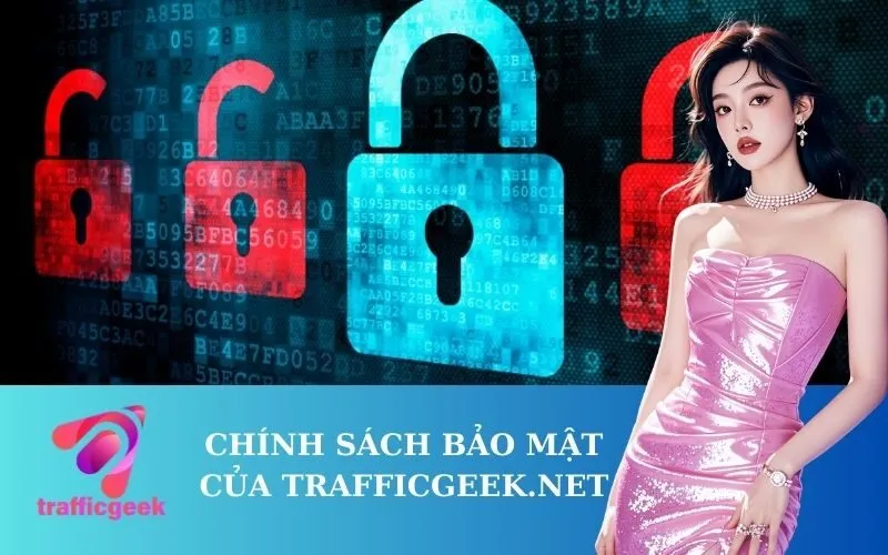 Chính Sách Bảo Mật của trafficgeek.net