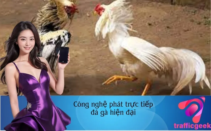 Công nghệ phát trực tiếp đá gà hiện đại
