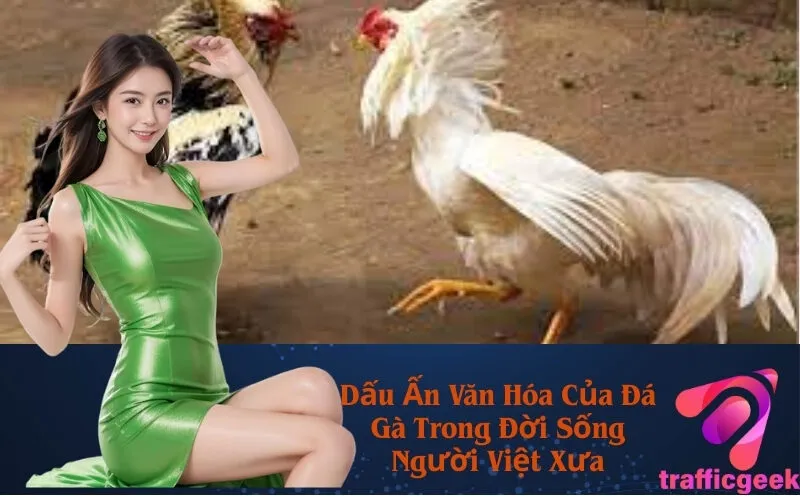 Dấu Ấn Văn Hóa Của Đá Gà Trong Đời Sống Người Việt Xưa