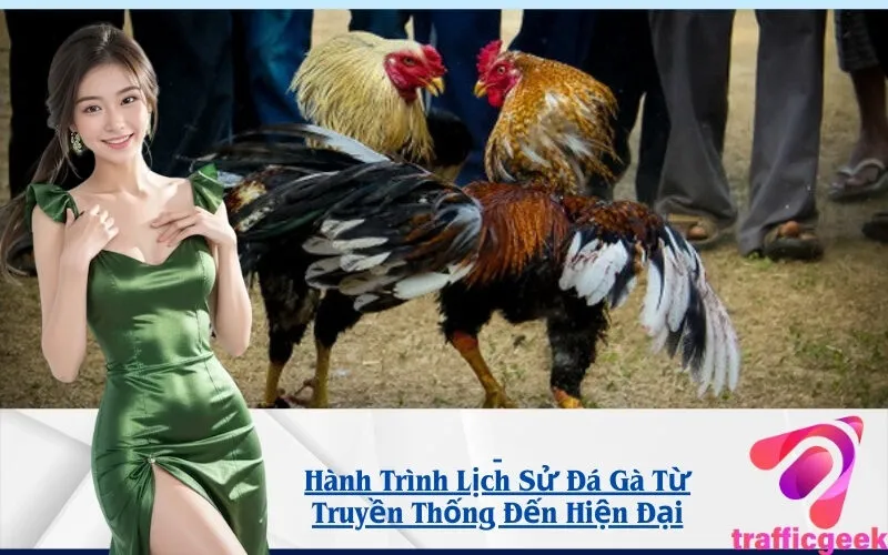 Hành Trình Lịch Sử Đá Gà Từ Truyền Thống Đến Hiện Đại