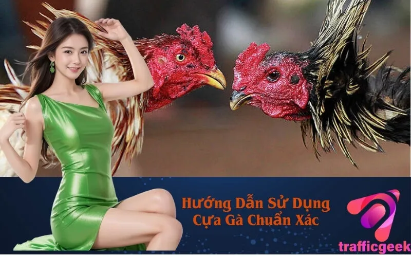 Hướng Dẫn Sử Dụng Cựa Gà Chuẩn Xác