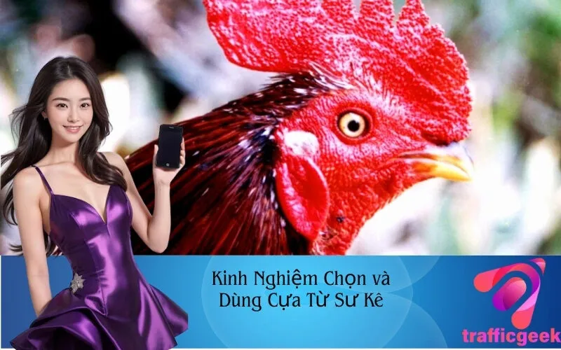 Kinh Nghiệm Chọn và Dùng Cựa Từ Sư Kê