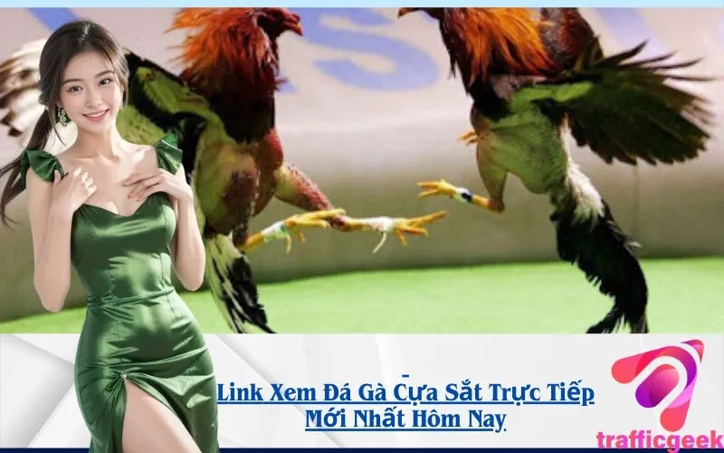 Link Xem Đá Gà Cựa Sắt Trực Tiếp Mới Nhất Hôm Nay