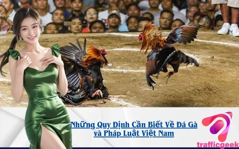 nhung-quy-dinh-can-biet-ve-da-ga-va-phap-luat-viet-nam