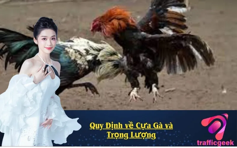 Quy Định về Cựa Gà và Trọng Lượng