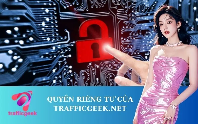 Quyền Riêng Tư của trafficgeek.net