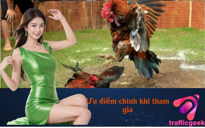 Ưu điểm chính khi tham gia