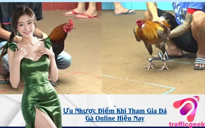 Ưu Nhược Điểm Khi Tham Gia Đá Gà Online Hiện Nay
