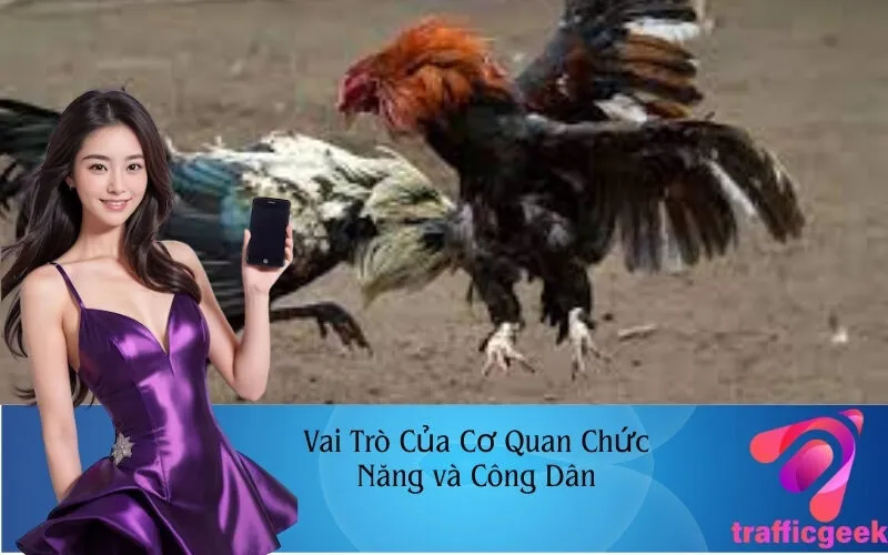 Vai Trò Của Cơ Quan Chức Năng và Công Dân