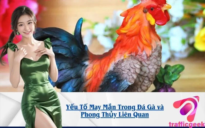 Yếu Tố May Mắn Trong Đá Gà và Phong Thủy Liên Quan