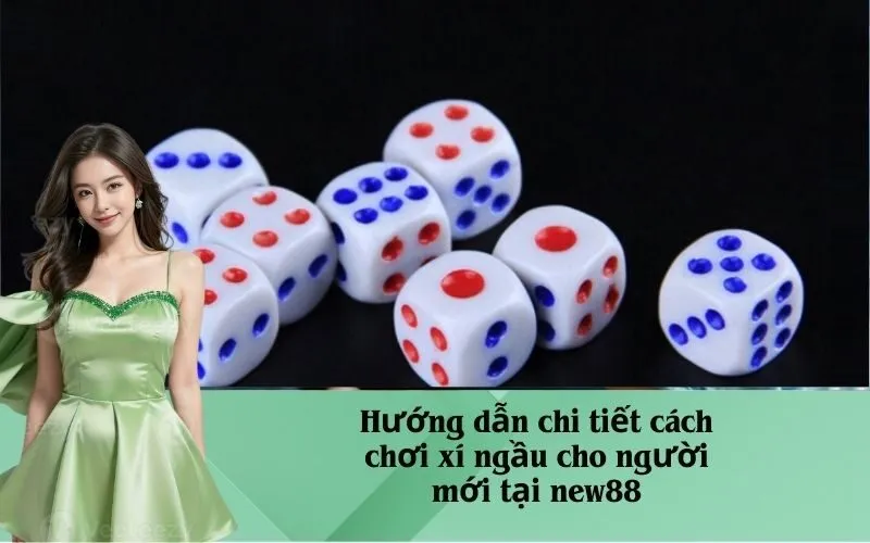 Hướng dẫn chi tiết cách chơi xí ngầu cho người mới tại new88