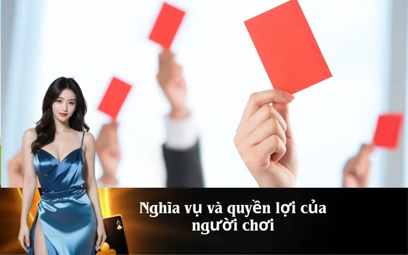 Nghĩa vụ và quyền lợi của người chơi