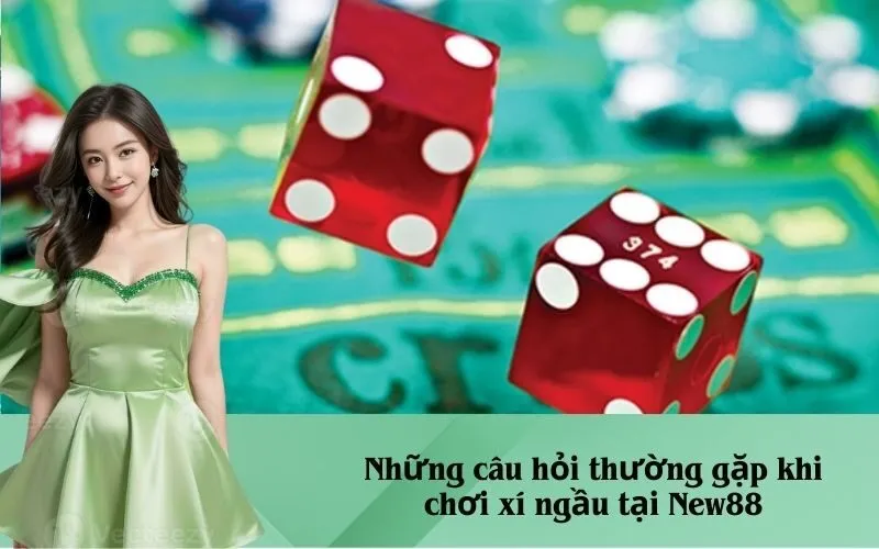 Những câu hỏi thường gặp khi chơi xí ngầu tại New88