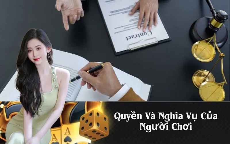Quyền Và Nghĩa Vụ Của Người Chơi