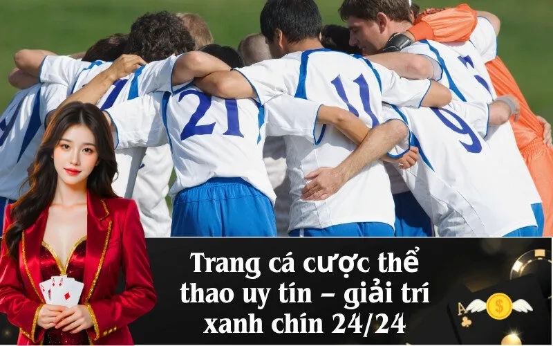 Trang cá cược thể thao uy tín – giải trí xanh chín 24/24